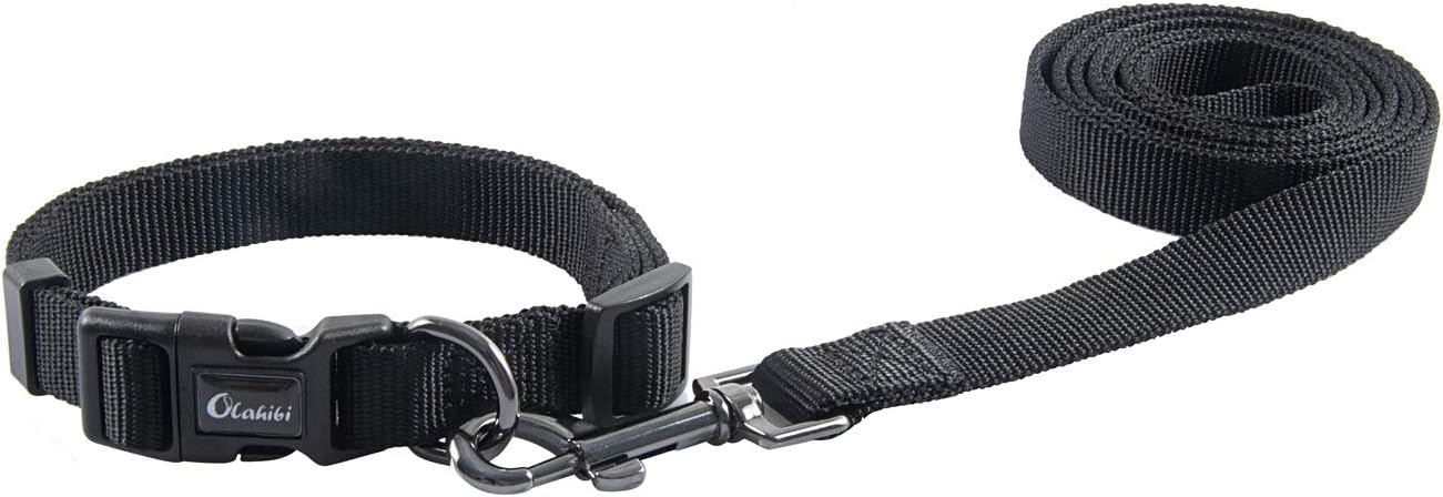 Olahibi Daisy Pattern Dog Collar and Leash | ObaPet