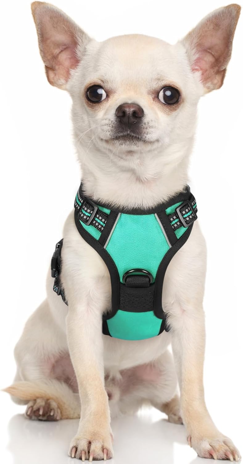 rabbitgoo Dog Harness Dog No Pull Pet Harness | ObaPet