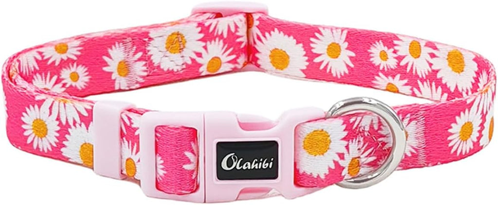 Olahibi Daisy Pattern Dog Collar and Leash | ObaPet