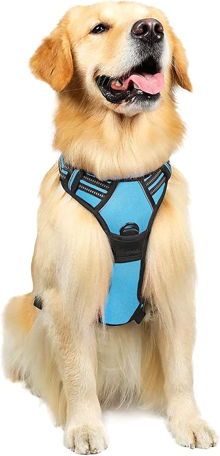 rabbitgoo Dog Harness Dog No Pull Pet Harness | ObaPet