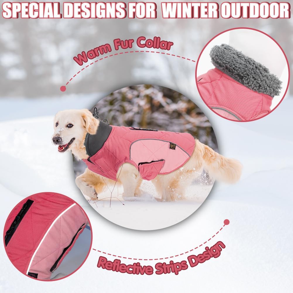 EMUST Winter Dog Coats, Fleece Dog Apparel for Cold Weather, British Style Windproof Warm Dog Jacket for Small Dog Coats for Winter, Dark Blue, XS