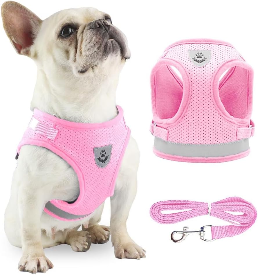 Anlitent Soft Mesh No Pull Cat Harness and Lead | ObaPet