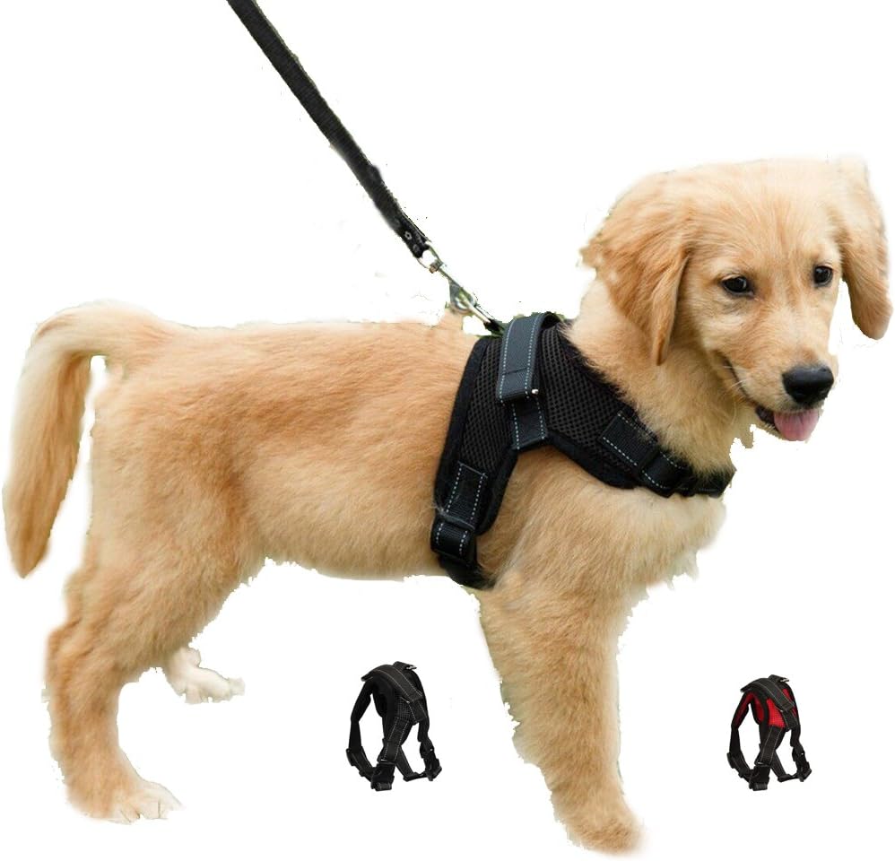 Dog Harness Mesh Breathable Comfortable Pet Vest | ObaPet