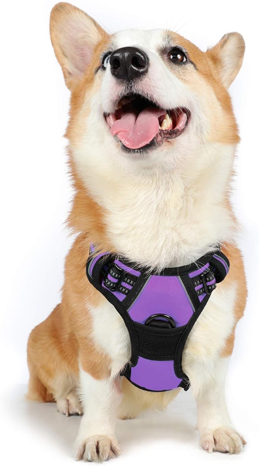 rabbitgoo Dog Harness Dog No Pull Pet Harness | ObaPet