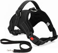 Musonic No Pull Dog Harness Breathable | ObaPet