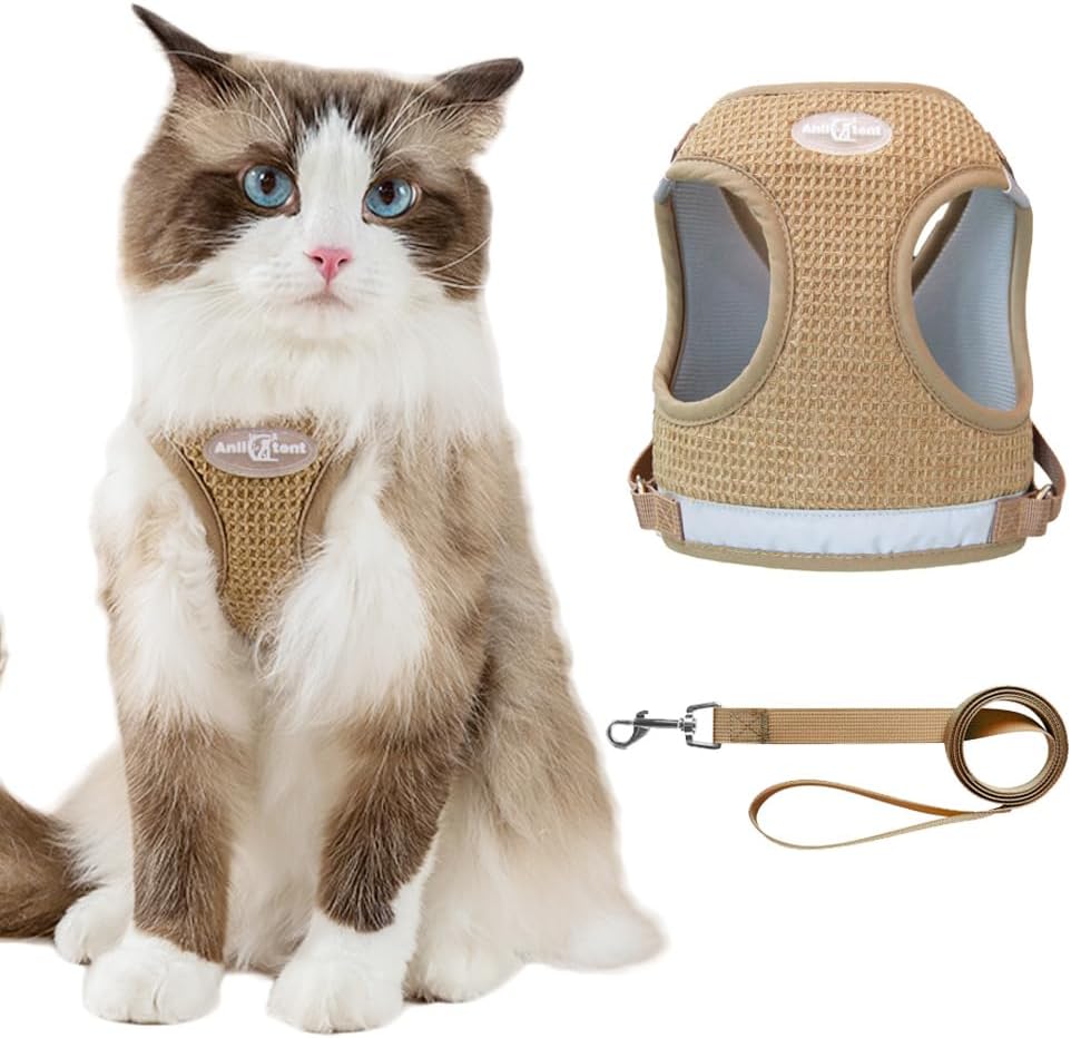 Anlitent Soft Mesh No Pull Cat Harness and Lead | ObaPet