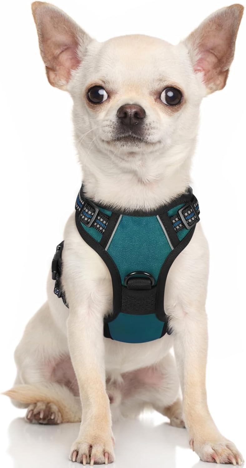 rabbitgoo Dog Harness Dog No Pull Pet Harness | ObaPet