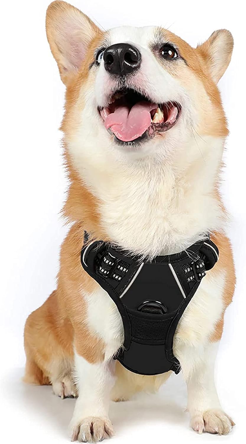 rabbitgoo Dog Harness Dog No Pull Pet Harness | ObaPet
