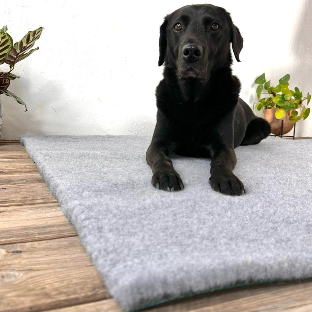 SOUL DESTINY Traditional Grey High-Grade Vet | ObaPet