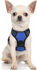 rabbitgoo Dog Harness Dog No Pull Pet Harness | ObaPet
