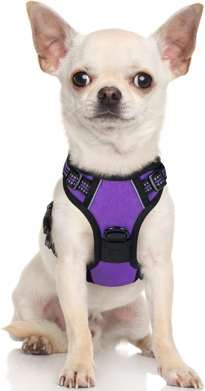 rabbitgoo Dog Harness Dog No Pull Pet Harness | ObaPet