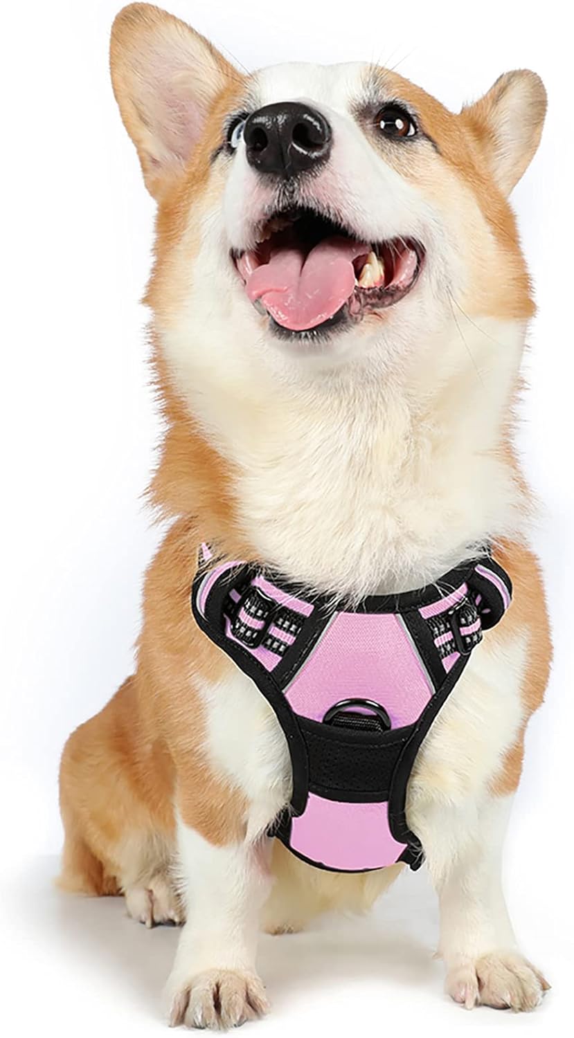 rabbitgoo Dog Harness Dog No Pull Pet Harness | ObaPet
