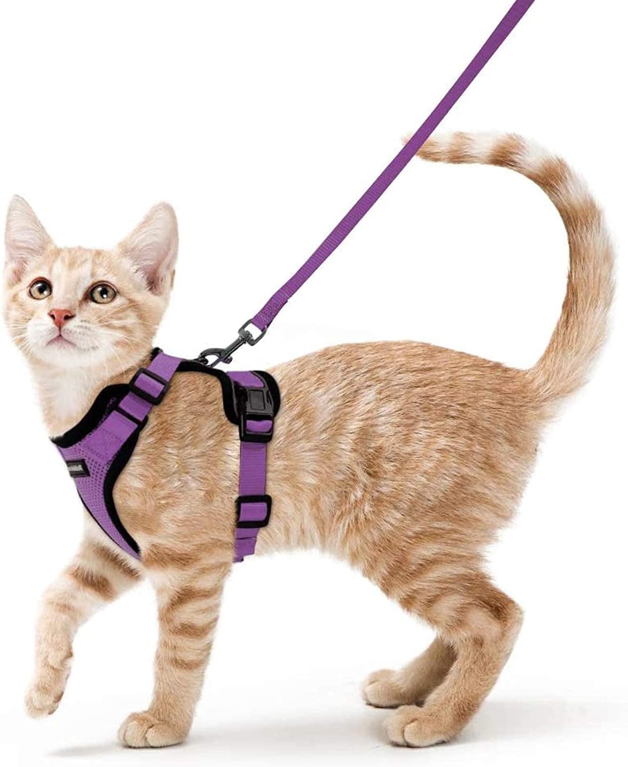 rabbitgoo Cat Harness and Lead Set, Escape Proof | ObaPet