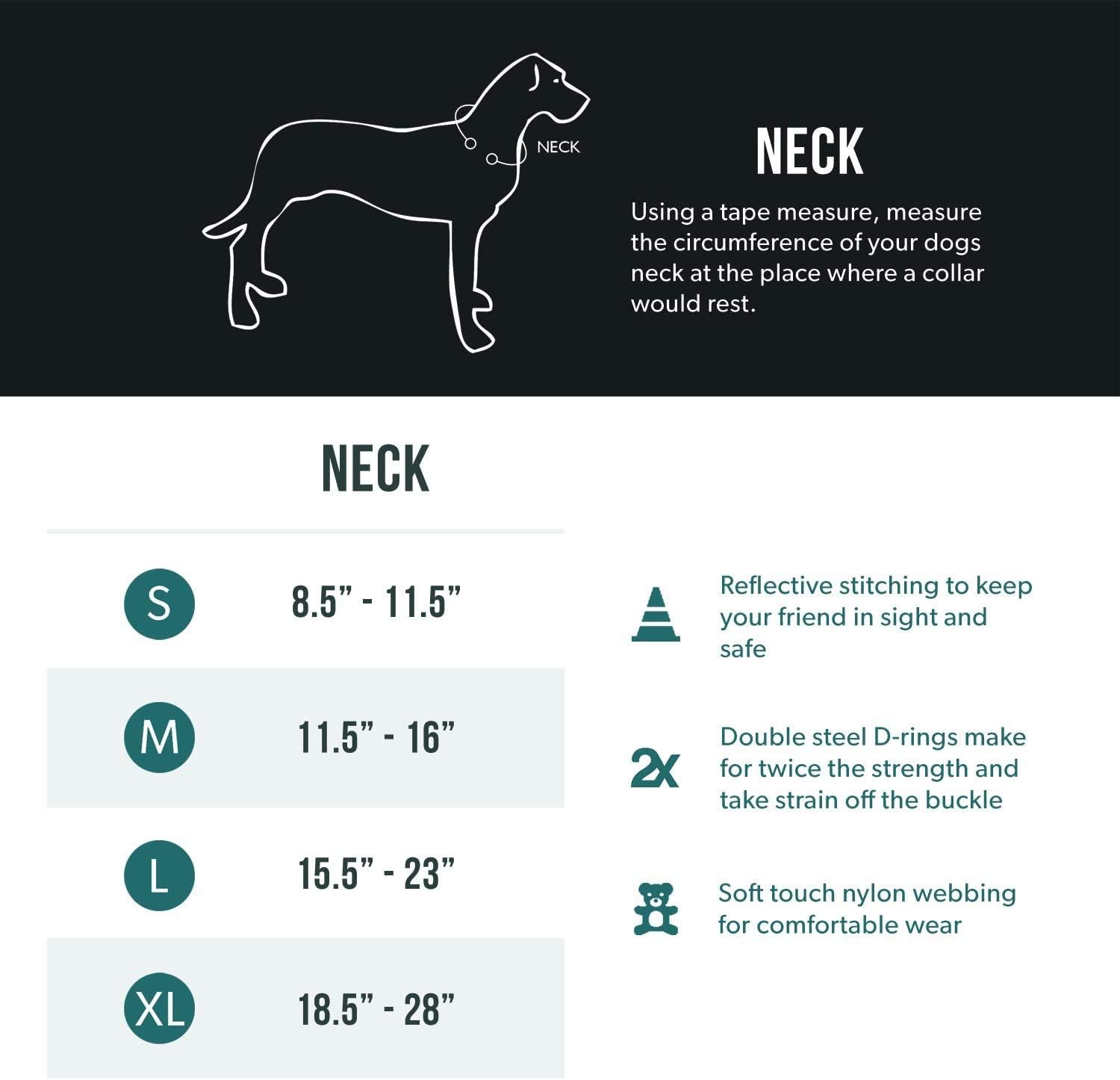 EZYDOG Double Up Dog Collar | ObaPet