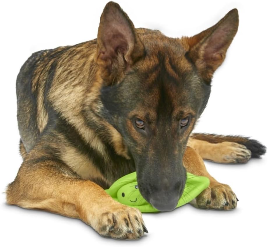 Petface Latex Apple Soft Chew Dog Toy, Large