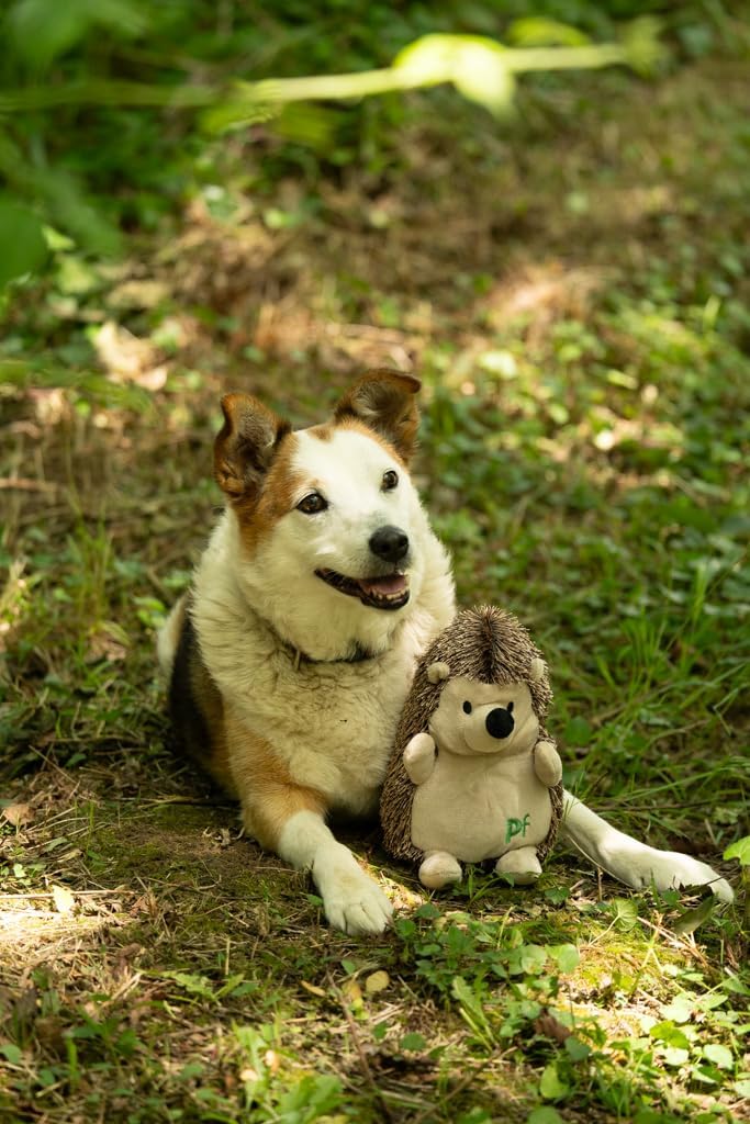 Petface Heston Hedgehog Plush Dog Toy (Pack of | ObaPet