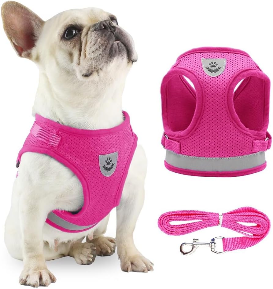 Anlitent Soft Mesh No Pull Cat Harness and Lead | ObaPet
