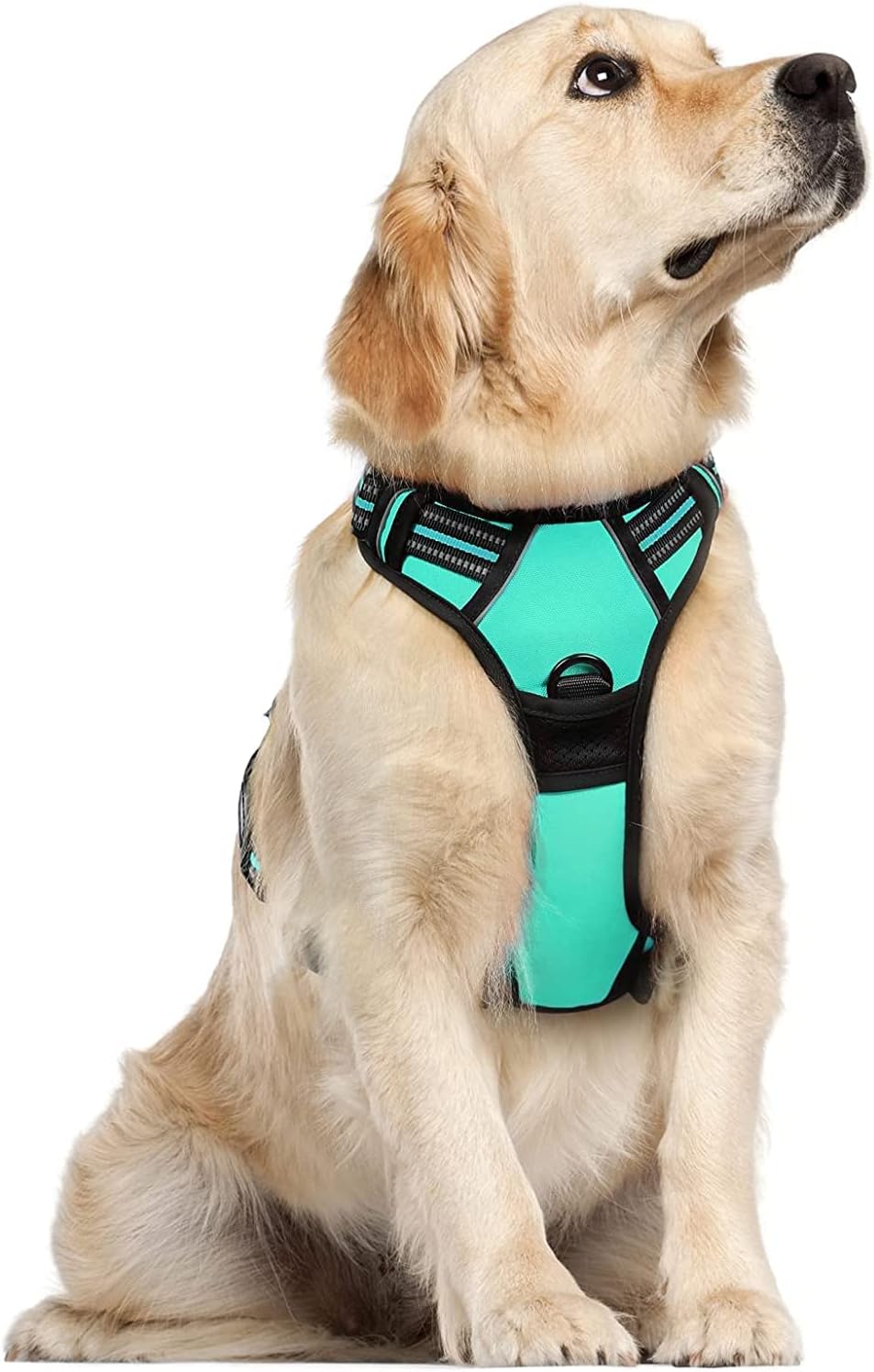 rabbitgoo Dog Harness Dog No Pull Pet Harness | ObaPet