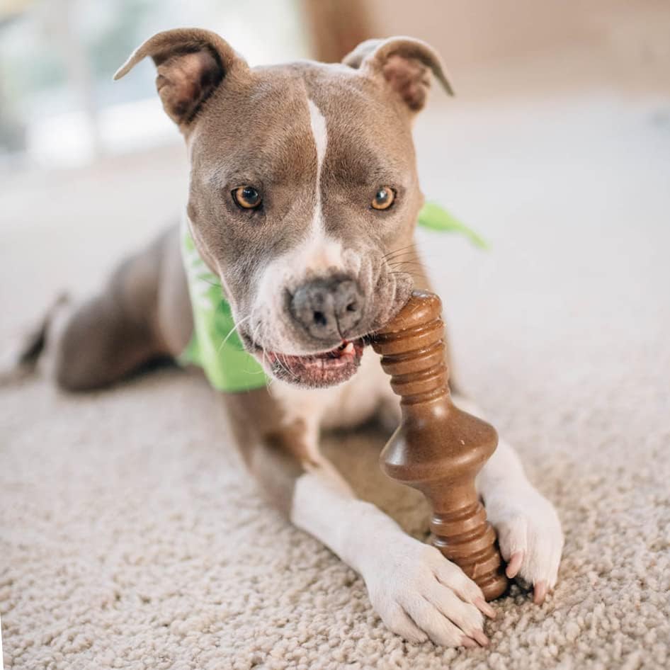 Benebone Durable Dog Chew Toy Box for Aggressive Chewers with Wishbone, Fishbone, Stick & Zaggler, Medium