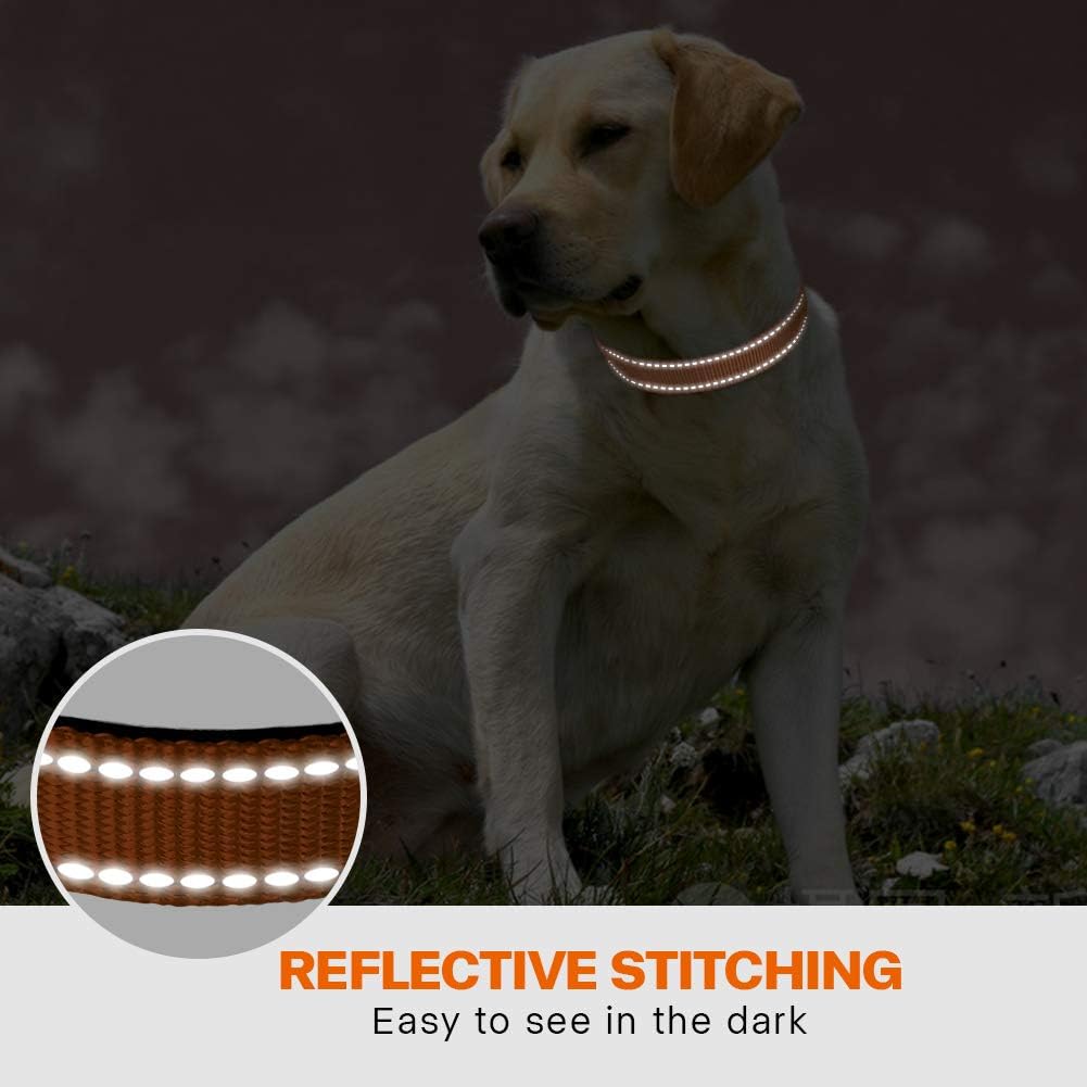 Taglory Reflective Nylon Dog Collar with Safety | ObaPet
