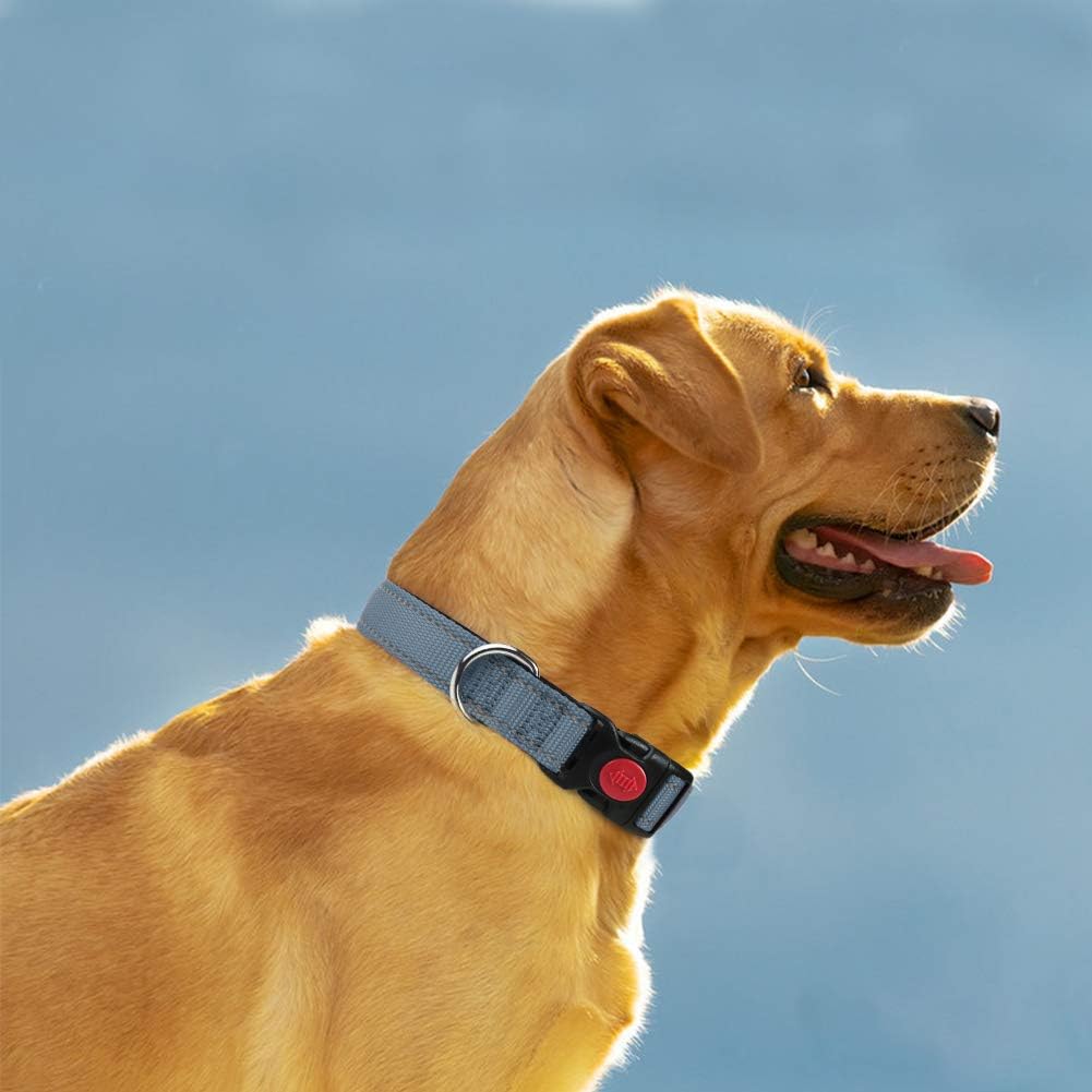 Taglory Reflective Nylon Dog Collar with Safety | ObaPet