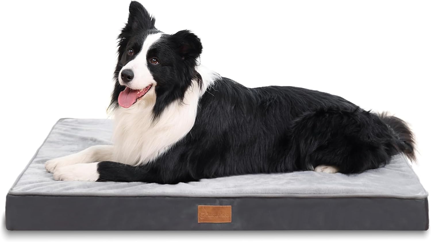 Jaspuriea Orthopedic Dog Beds Washable with | ObaPet