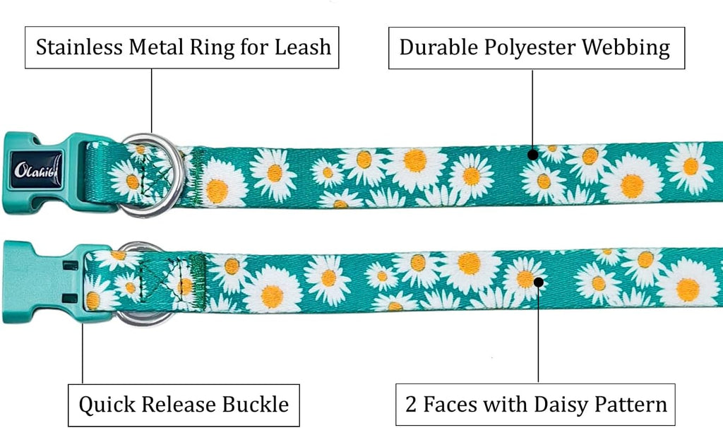 Olahibi Daisy Pattern Dog Collar and Leash | ObaPet