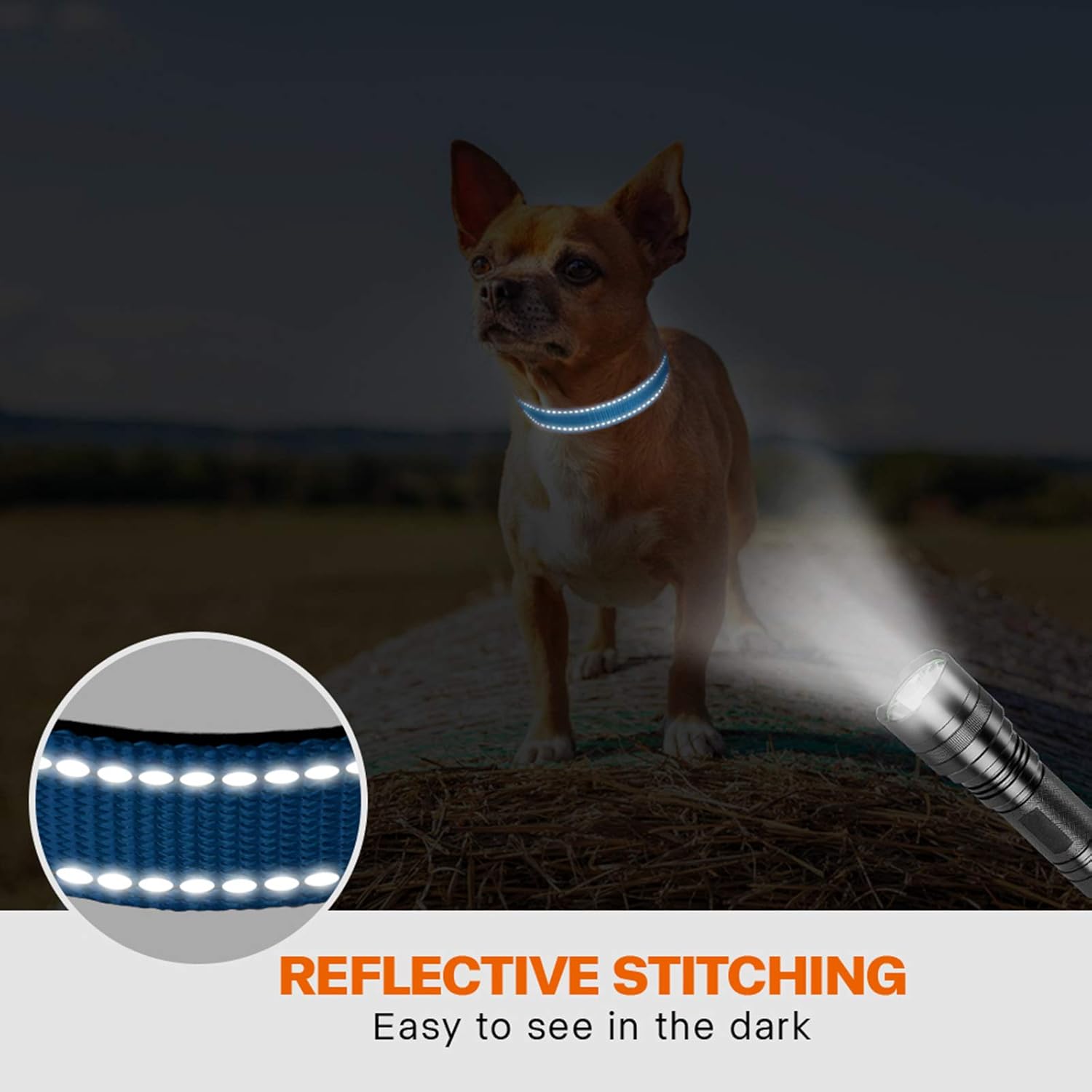 Taglory Reflective Nylon Dog Collar with Safety | ObaPet