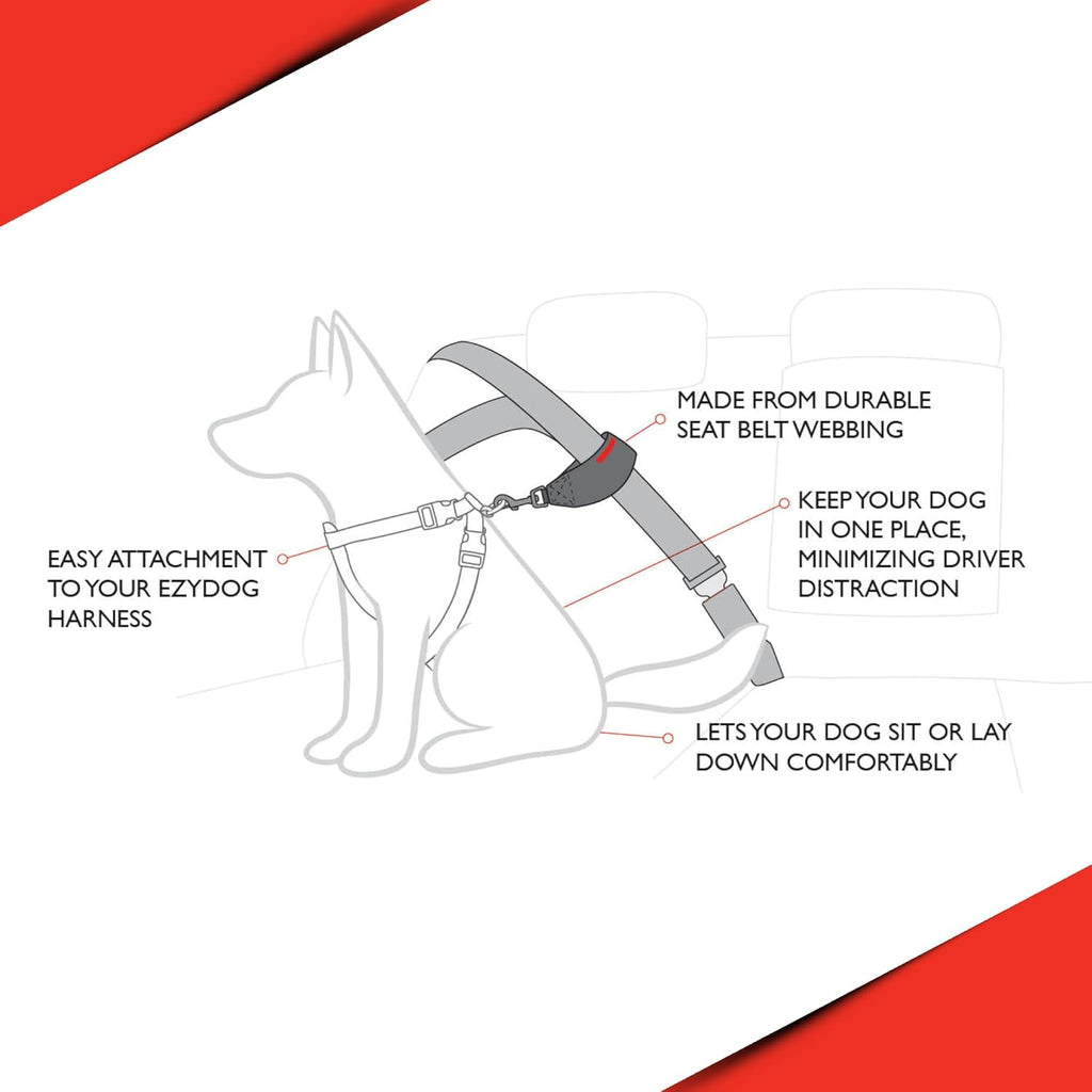 EZYDOG Dog Seat Belt Car Attachment | ObaPet
