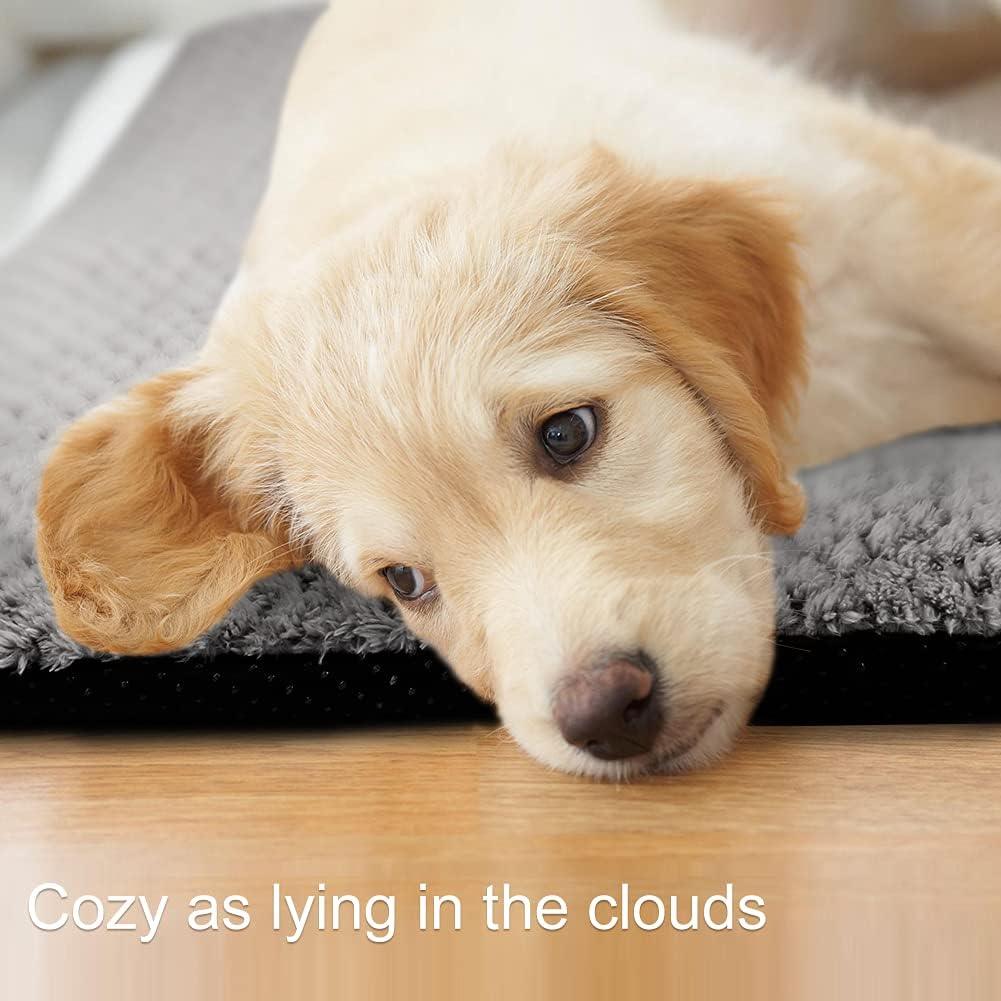 Onarway Dog Bed Mat Medium: Washable Fluffy Dog | ObaPet
