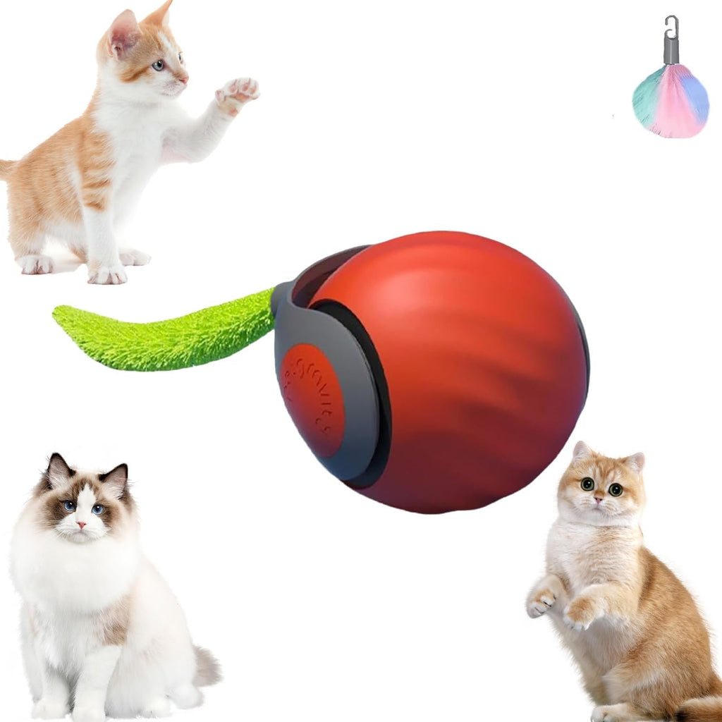 Speedy Tail Cat Toy, Speedy Tail 2.0, Smart | ObaPet