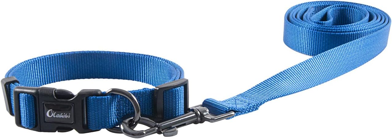 Olahibi Daisy Pattern Dog Collar and Leash | ObaPet