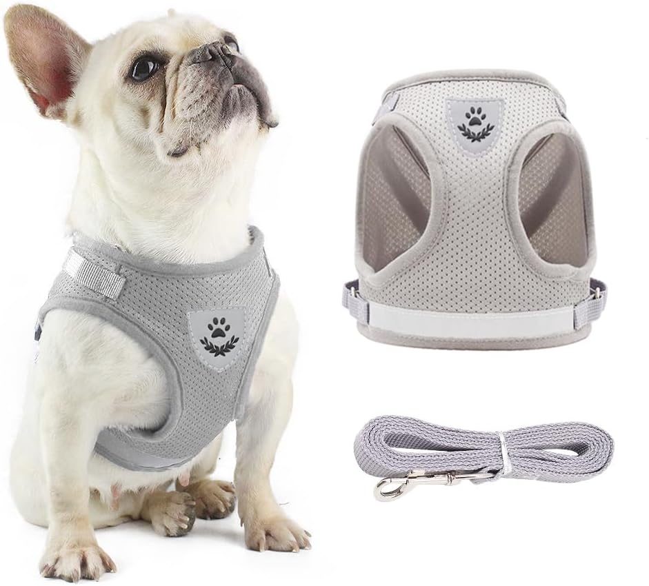 Anlitent Soft Mesh No Pull Cat Harness and Lead | ObaPet