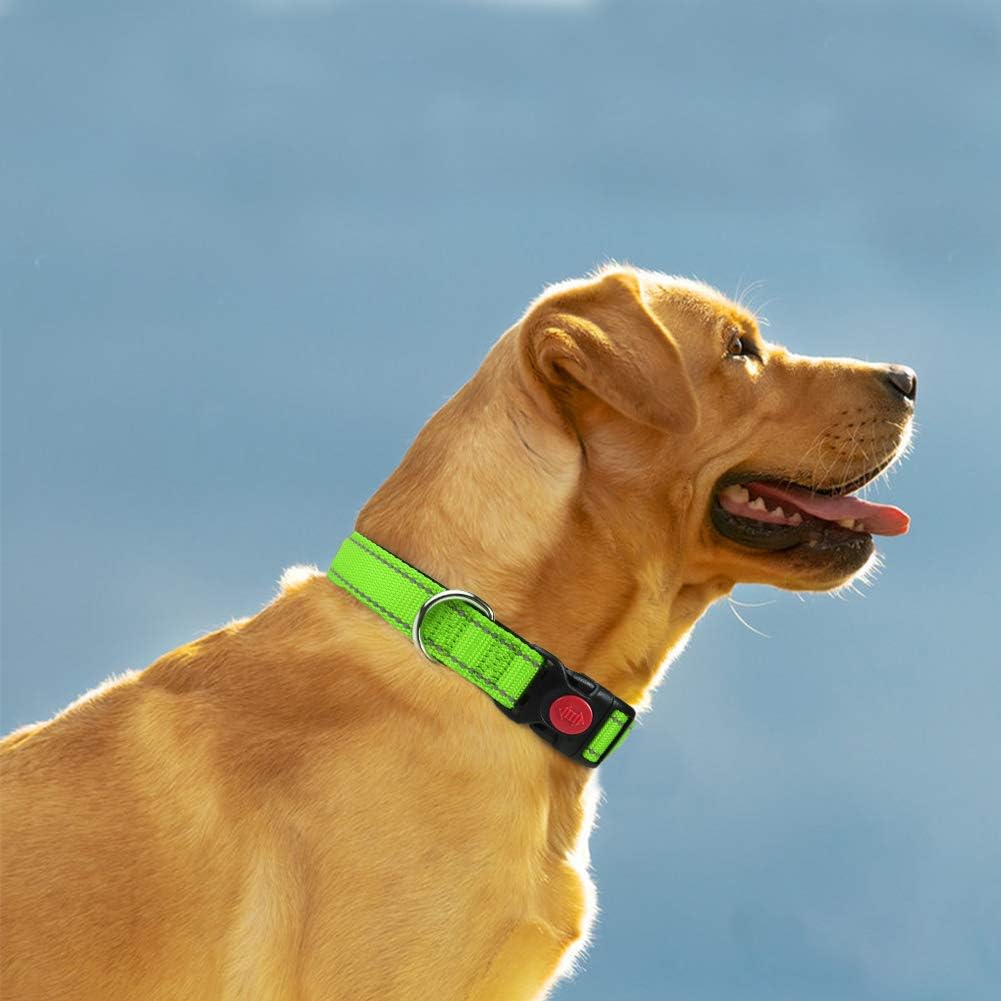 Taglory Reflective Nylon Dog Collar with Safety | ObaPet