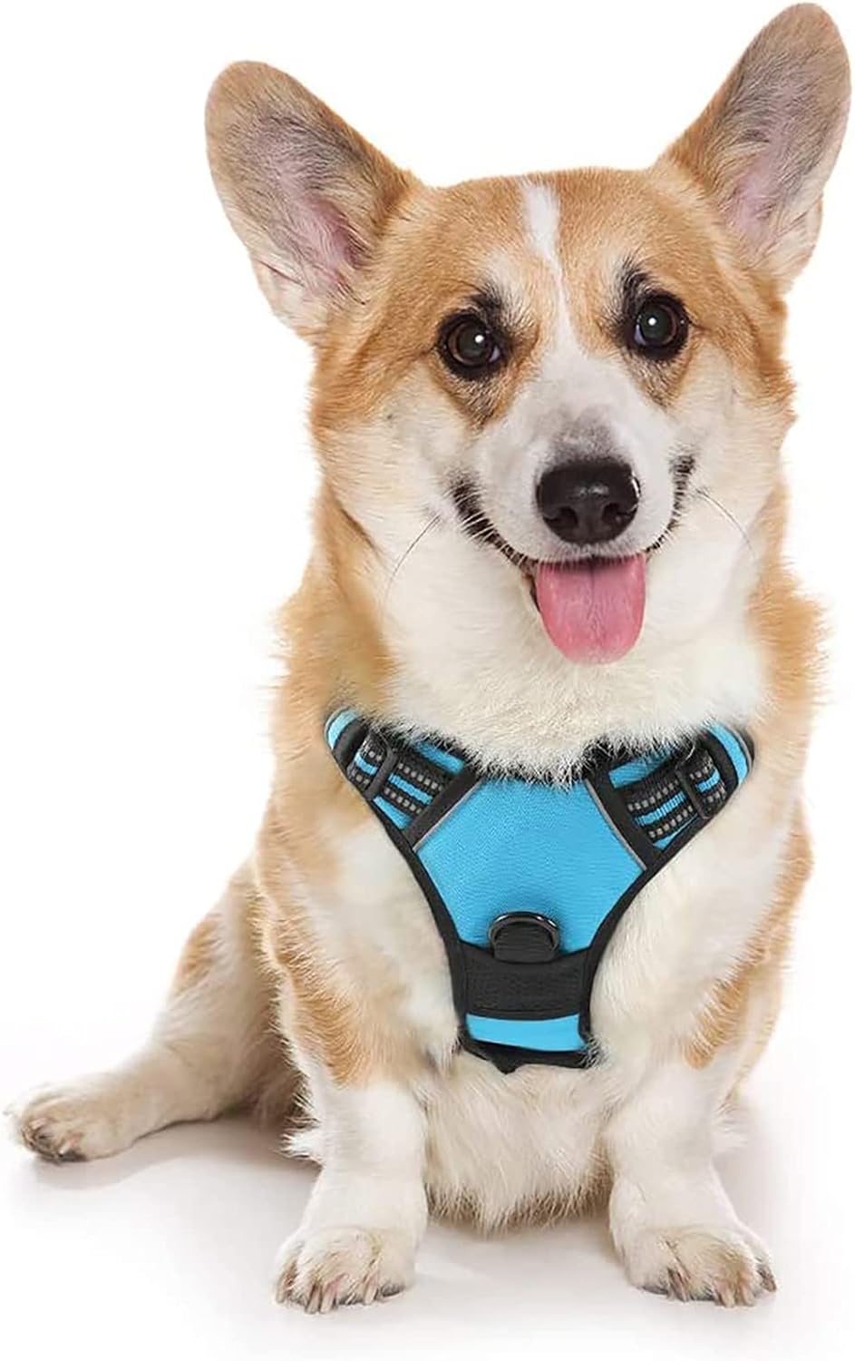 rabbitgoo Dog Harness Dog No Pull Pet Harness | ObaPet