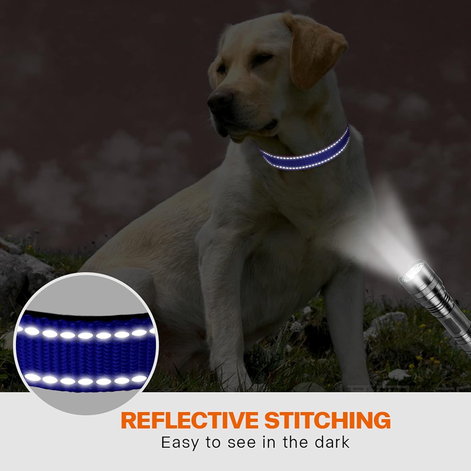 Taglory Reflective Nylon Dog Collar with Safety | ObaPet