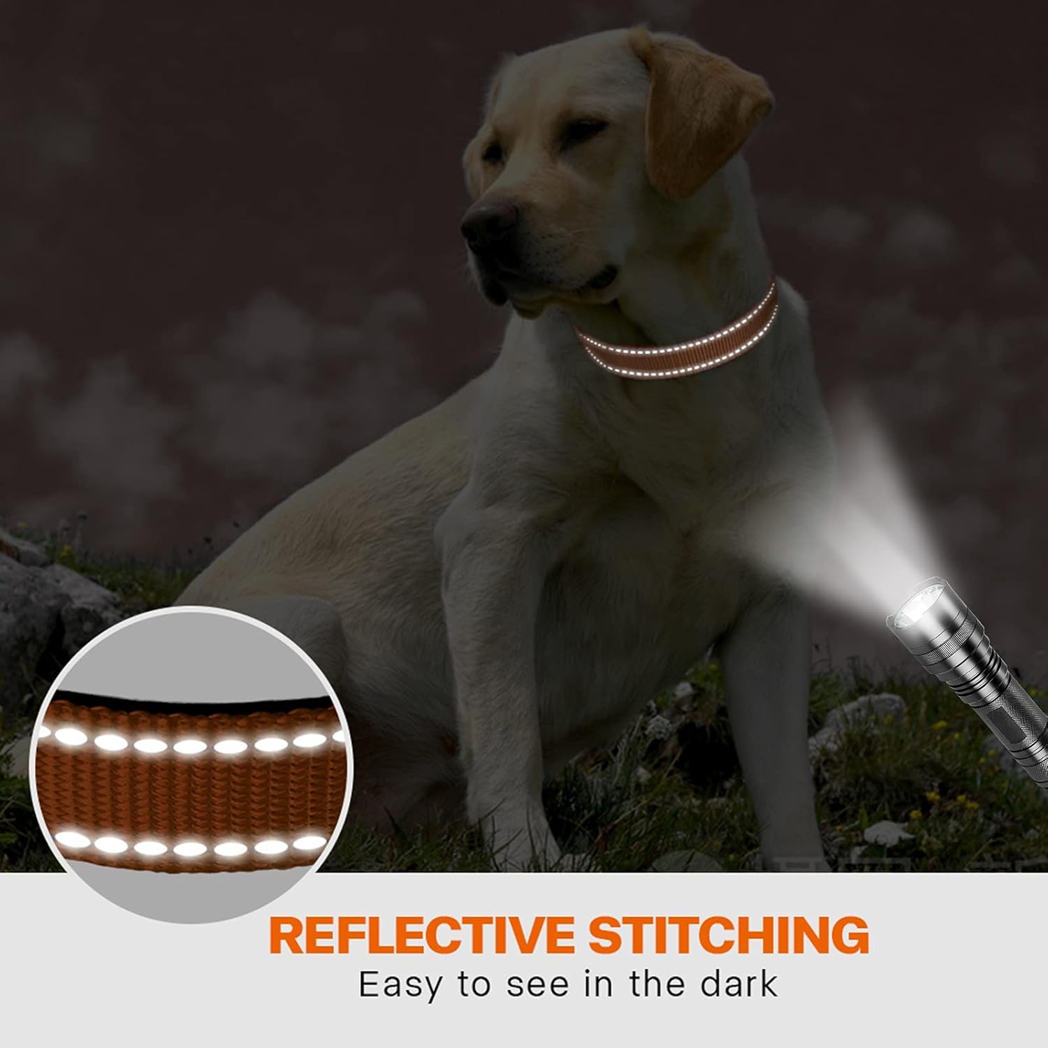 Taglory Reflective Nylon Dog Collar with Safety | ObaPet