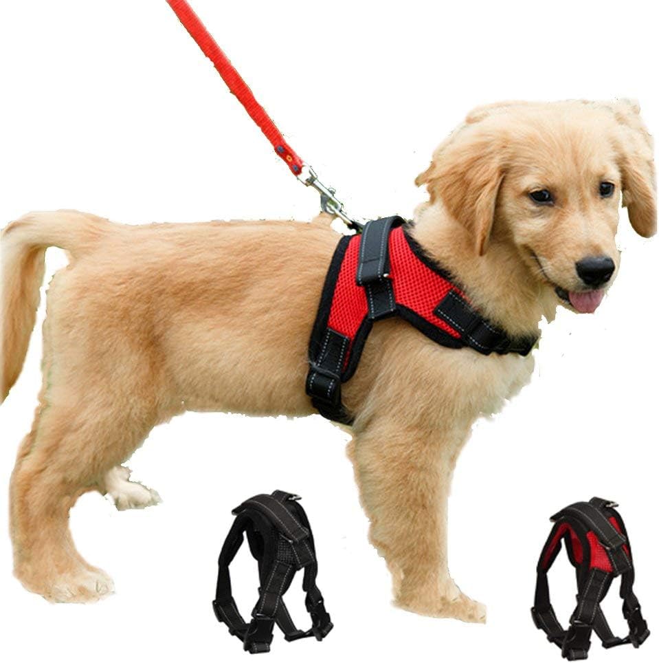 Dog Harness Mesh Breathable Comfortable Pet Vest | ObaPet