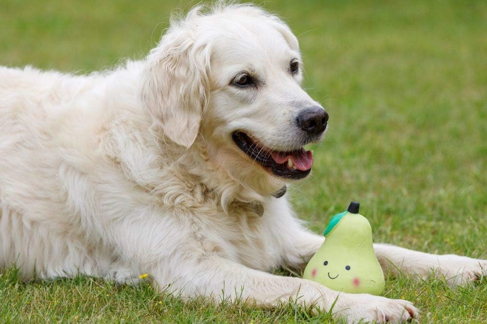 Petface Latex Apple Soft Chew Dog Toy, Large