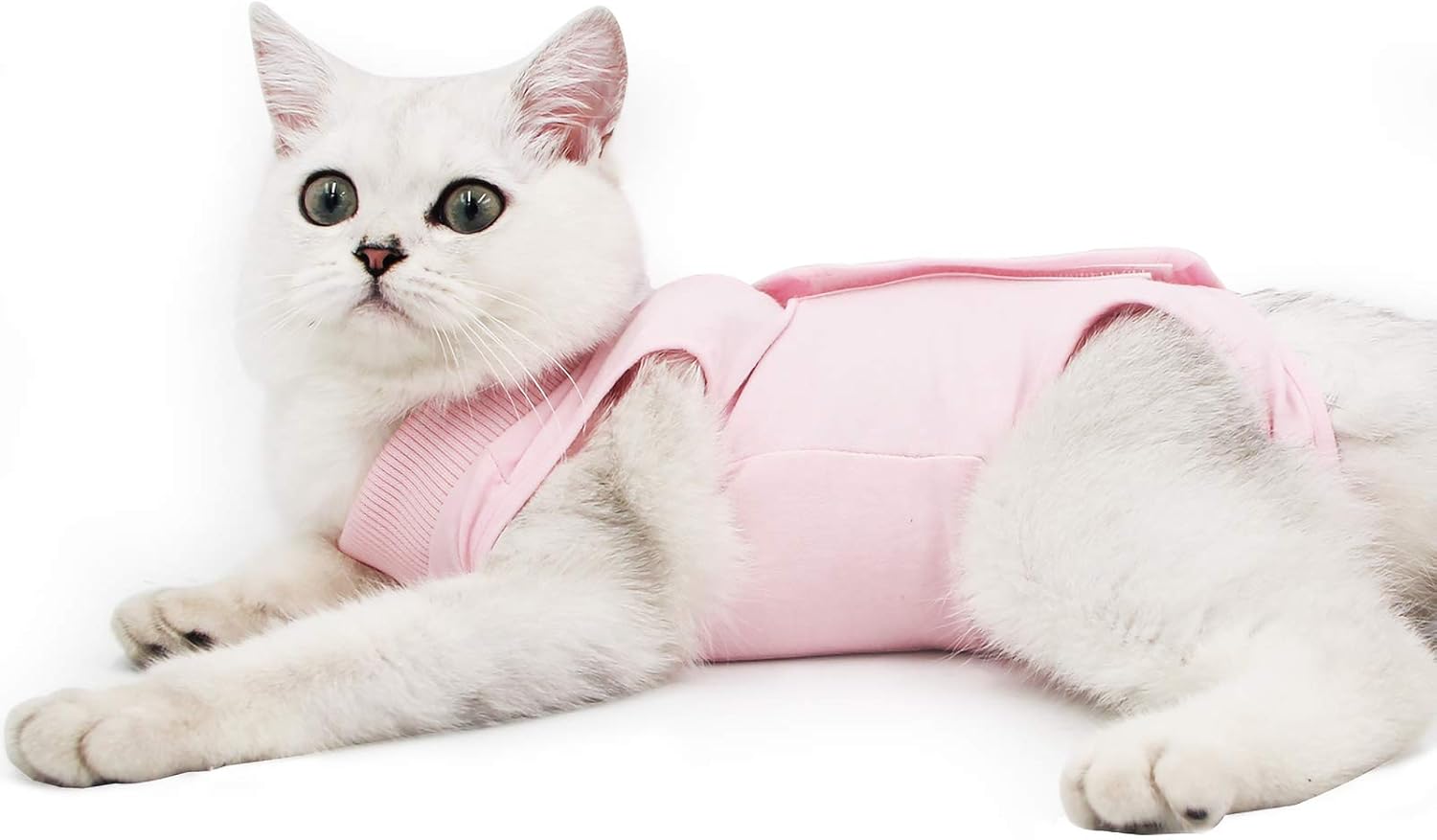 Cat Professional Recovery Suit for Abdominal | ObaPet