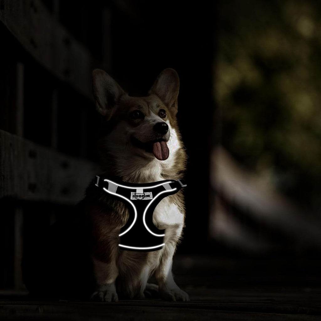 RAFIYU Dog Harness Medium Breathable Vest, | ObaPet