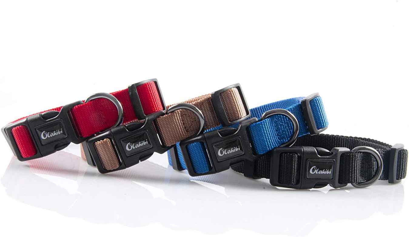 Olahibi Daisy Pattern Dog Collar and Leash | ObaPet