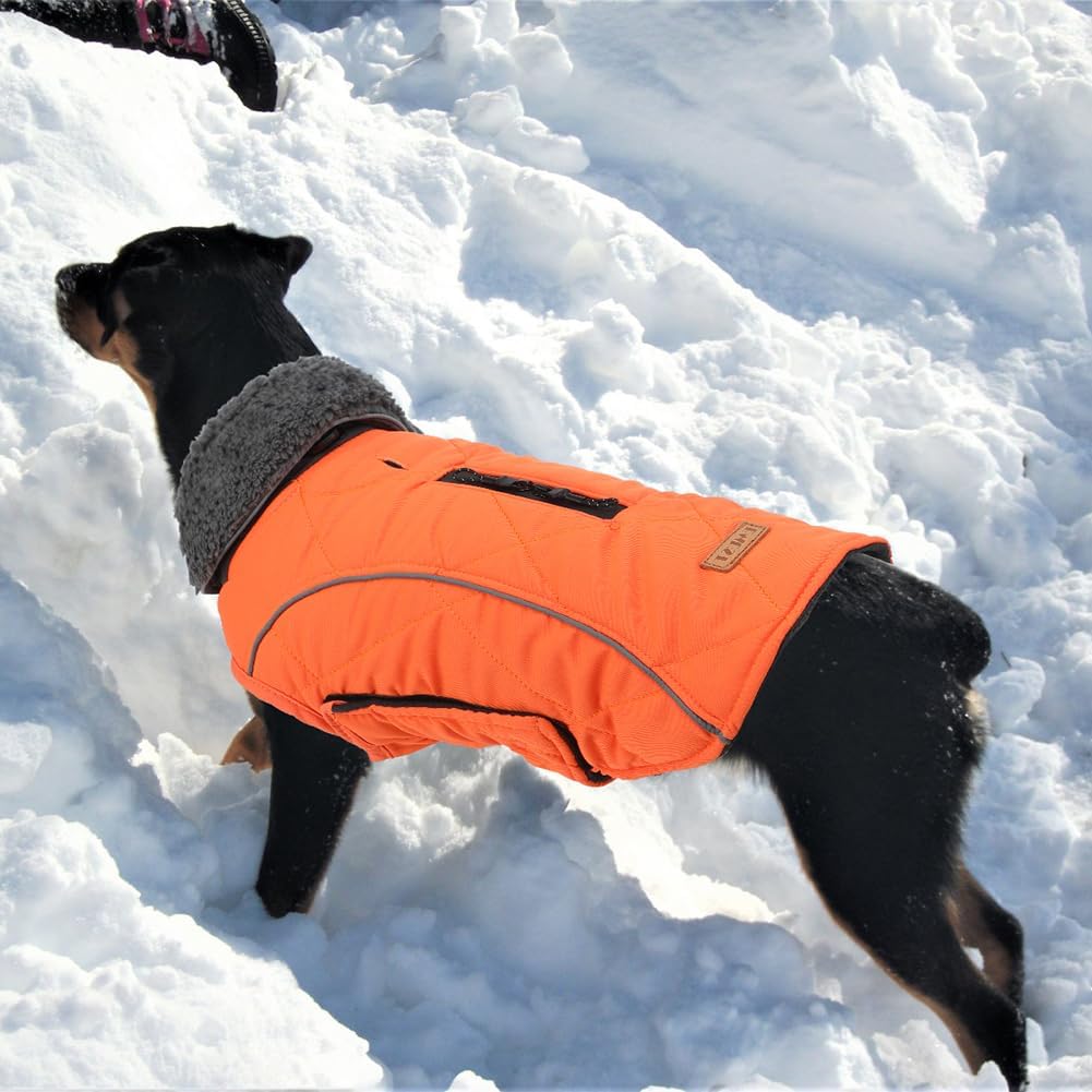 EMUST Winter Dog Coats, Fleece Dog Apparel for Cold Weather, British Style Windproof Warm Dog Jacket for Small Dog Coats for Winter, Dark Blue, XS