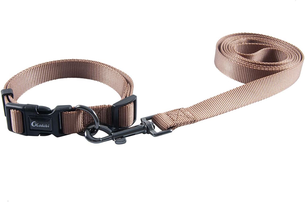 Olahibi Daisy Pattern Dog Collar and Leash | ObaPet