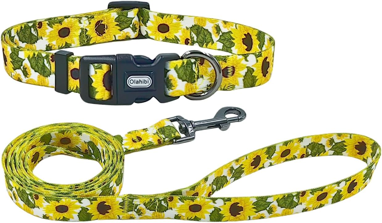 Olahibi Daisy Pattern Dog Collar and Leash | ObaPet