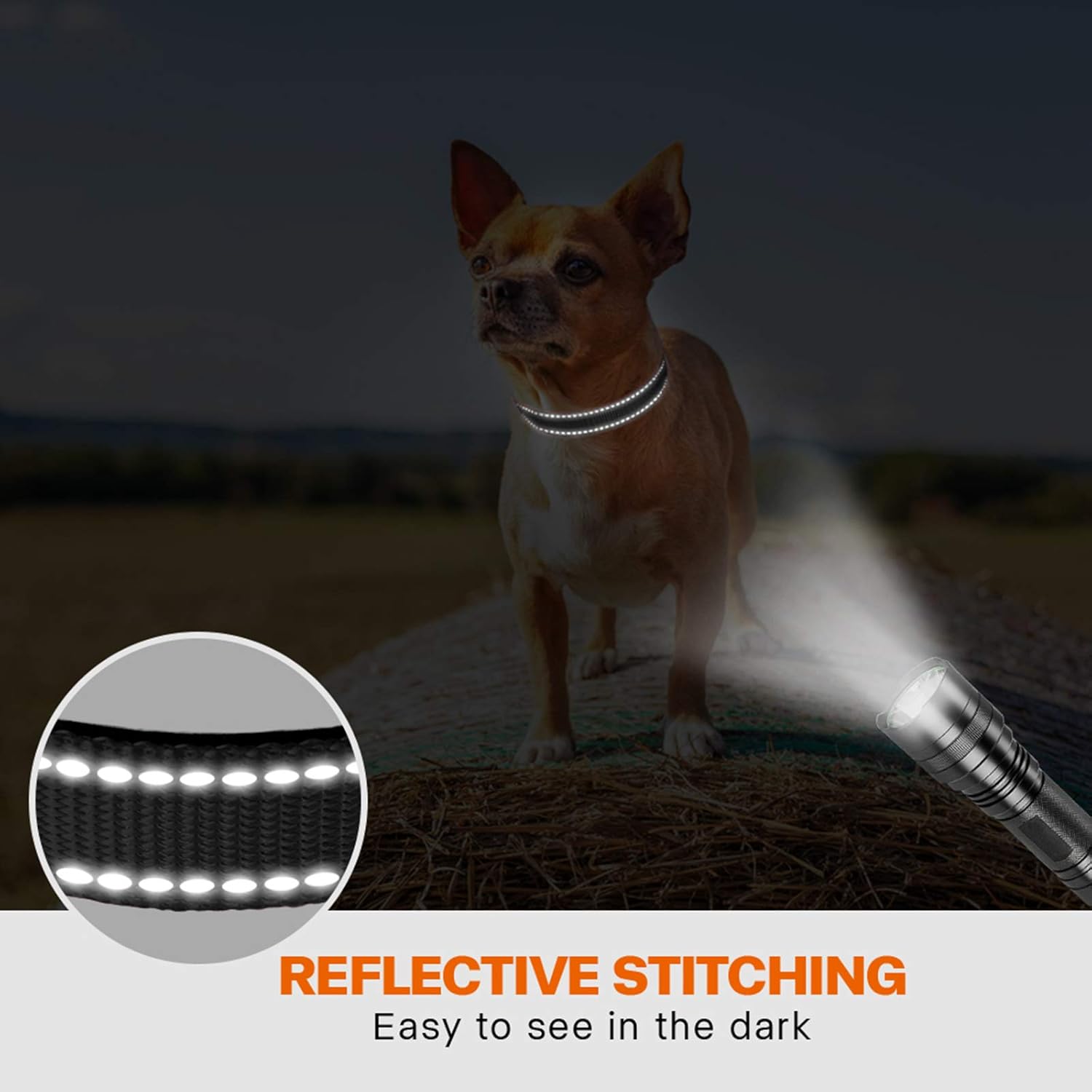Taglory Reflective Nylon Dog Collar with Safety | ObaPet