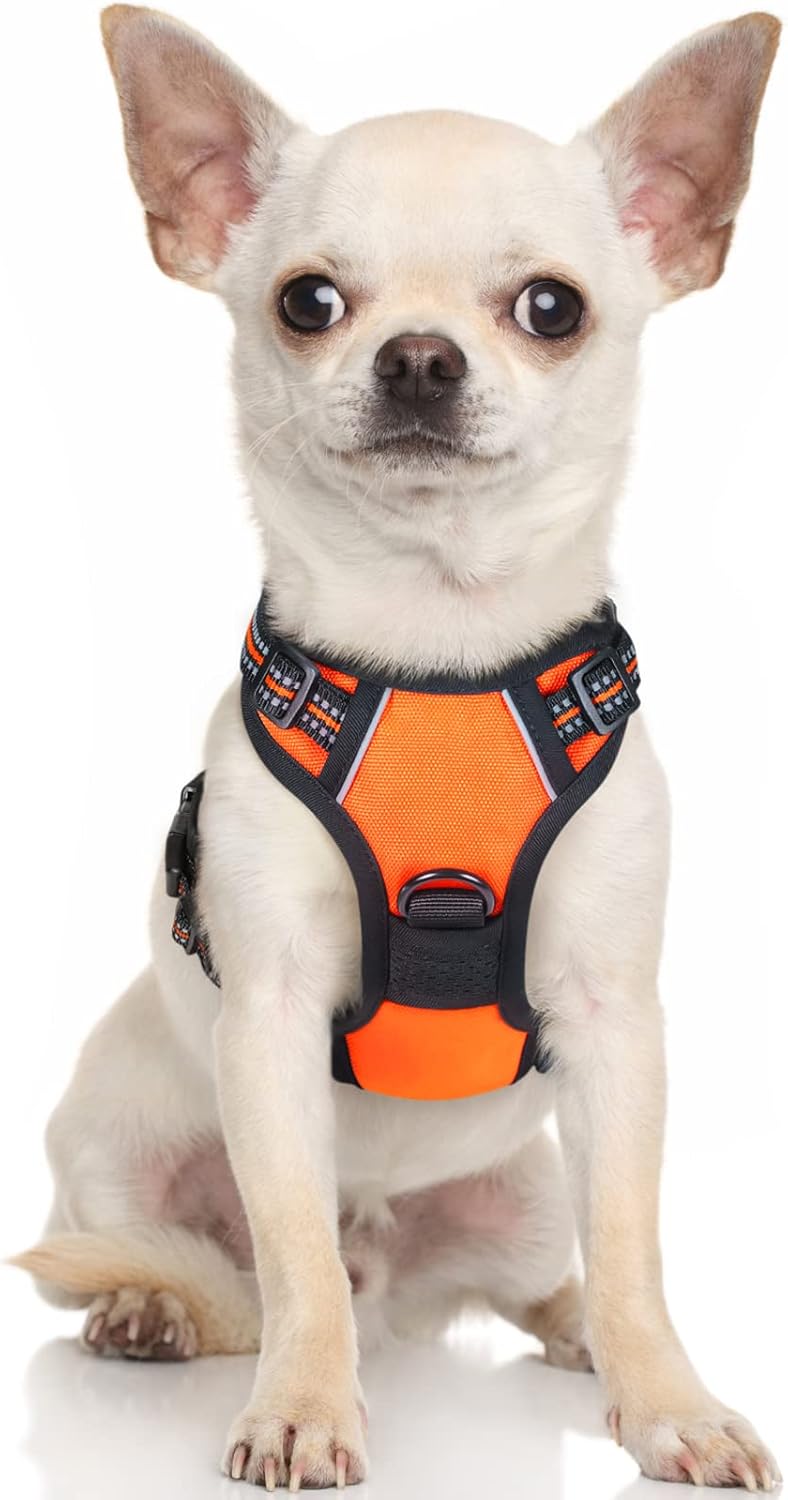 rabbitgoo Dog Harness Dog No Pull Pet Harness | ObaPet