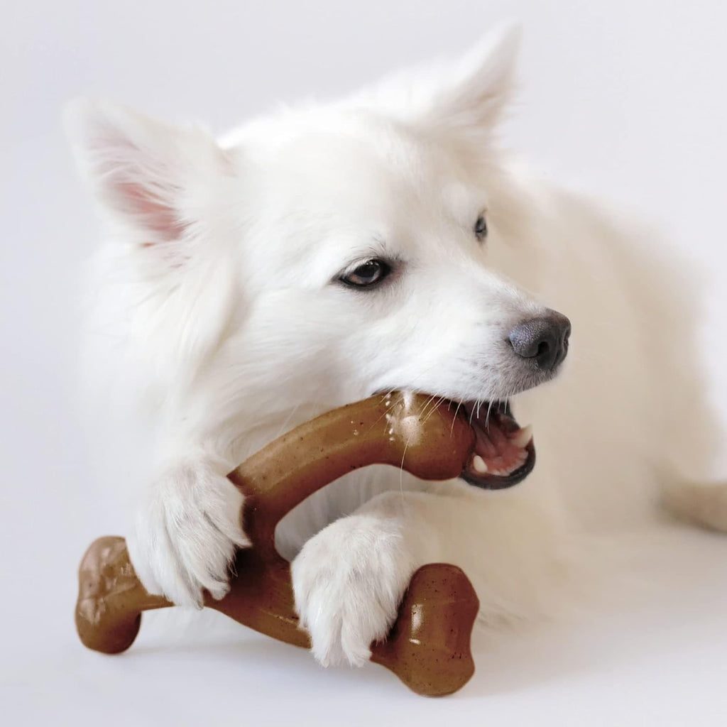Benebone Durable Dog Chew Toy Box for Aggressive Chewers with Wishbone, Fishbone, Stick & Zaggler, Medium
