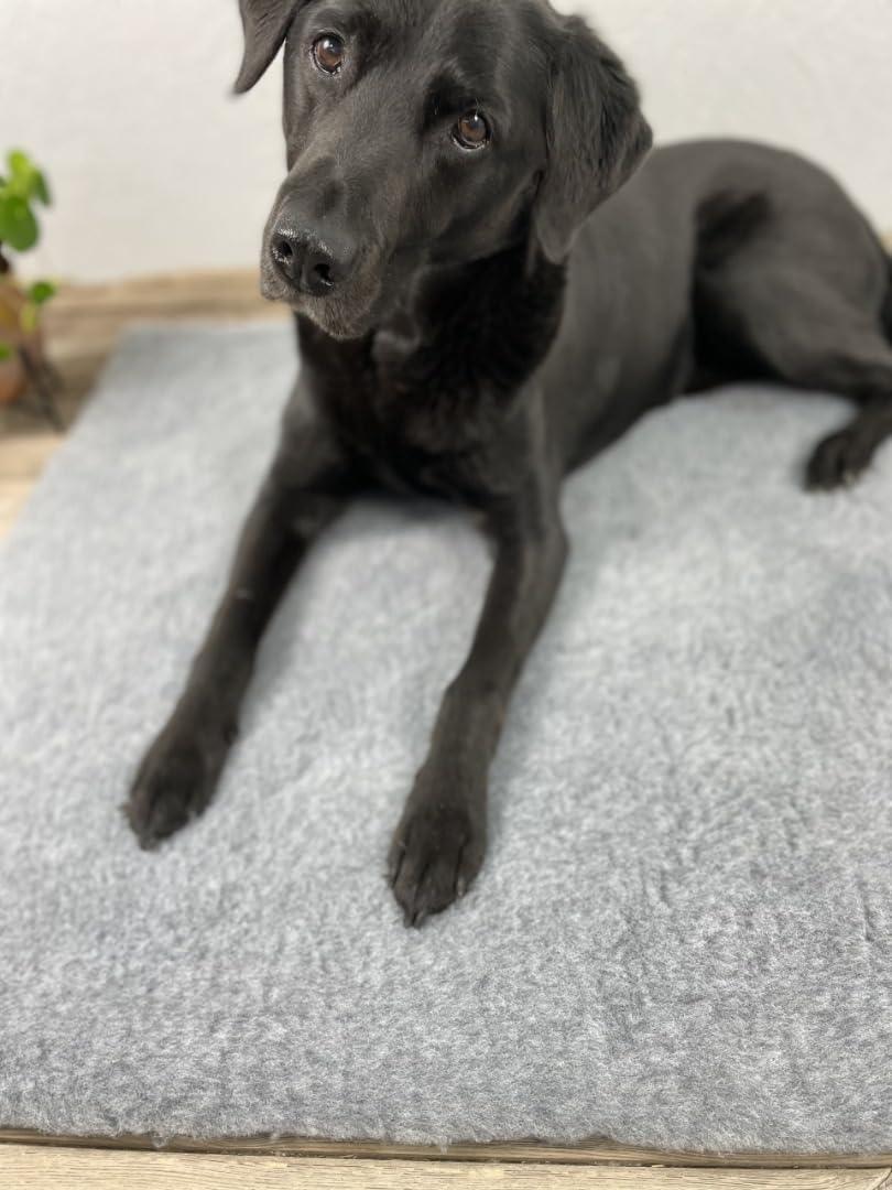 SOUL DESTINY Traditional Grey High-Grade Vet | ObaPet