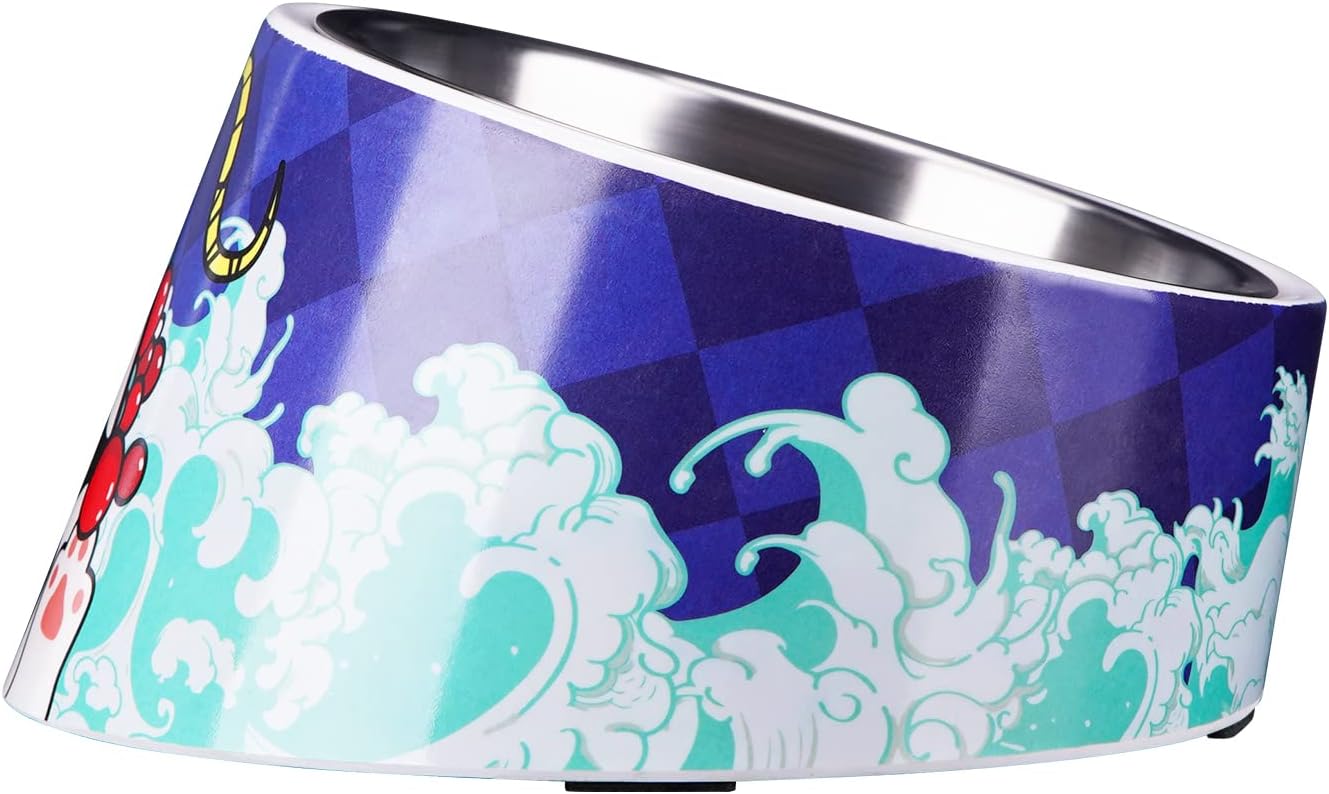SuperDesign Mess Free 15° Slanted Bowl for Dogs | ObaPet